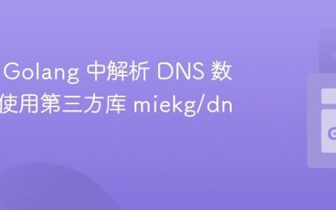 如何在 Golang 中解析 DNS 数据包：使用第三方库 miekg/dns