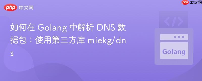 如何在 golang 中解析 dns 数据包:使用第三方库 miekg/dns