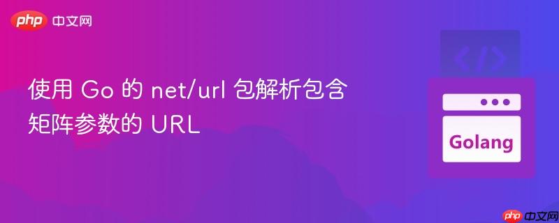 使用 go 的 net/url 包解析包含矩阵参数的 url
