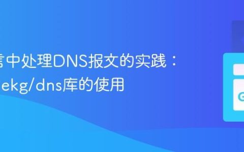 Go语言中处理DNS报文的实践：推荐miekg/dns库的使用