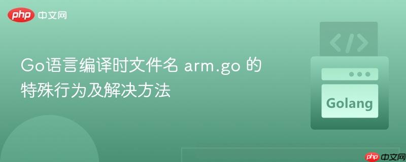 go语言编译时文件名 arm.go 的特殊行为及解决方法