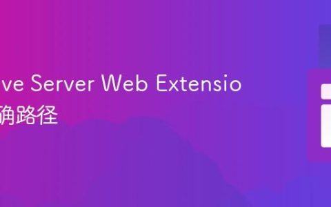 配置 Live Server Web Extension 的正确路径
