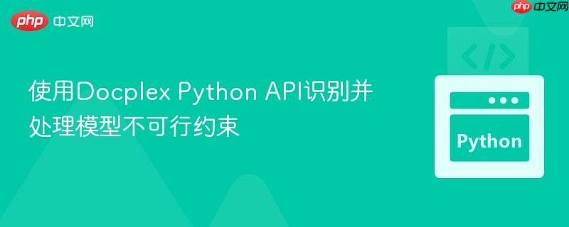 使用Docplex Python API识别并处理模型不可行约束
