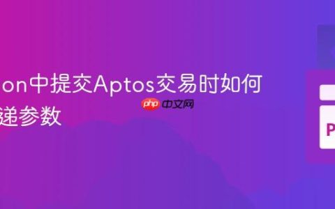 在Python中提交Aptos交易时如何正确传递参数