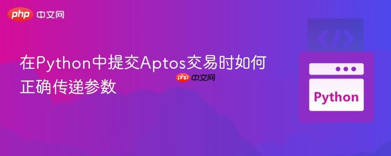 在Python中提交Aptos交易时如何正确传递参数
