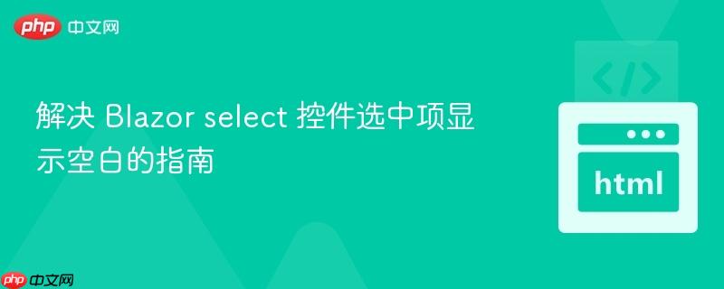 解决 Blazor select 控件选中项显示空白的指南