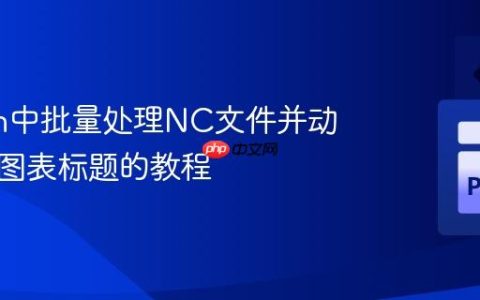 Python中批量处理NC文件并动态生成图表标题的教程