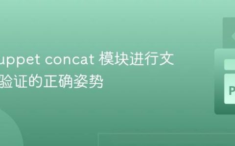 使用 Puppet concat 模块进行文件内容验证的正确姿势