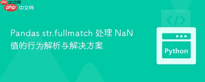 Pandas str.fullmatch 处理 NaN 值的行为解析与解决方案