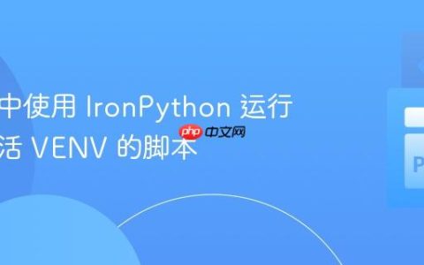 在 C# 中使用 IronPython 运行需要激活 VENV 的脚本