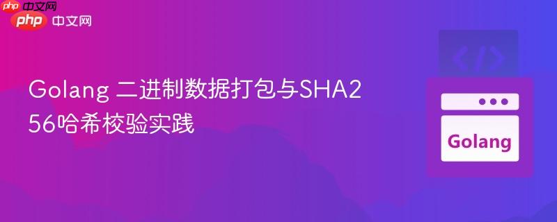 Golang 二进制数据打包与SHA256哈希校验实践