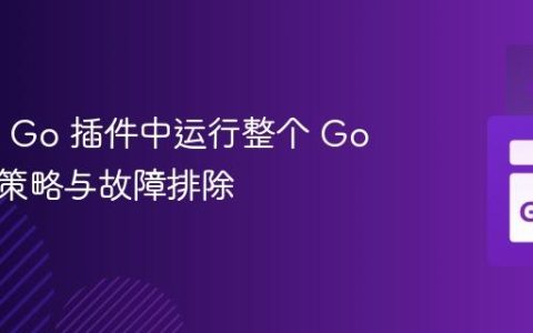 IntelliJ Go 插件中运行整个 Go 项目的策略与故障排除