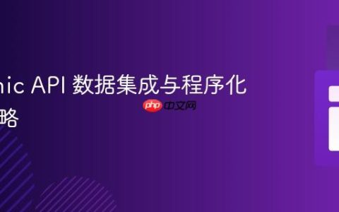 Statamic API 数据集成与程序化验证策略