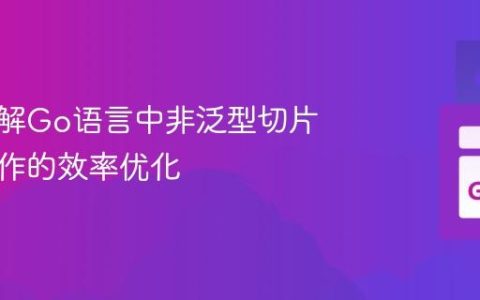 深入理解Go语言中非泛型切片映射操作的效率优化