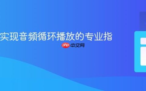 Java中实现音频循环播放的专业指南