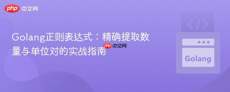 Golang正则表达式:精确提取数量与单位对的实战指南