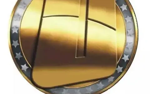 维卡币交易方式？2025市场价格大揭秘