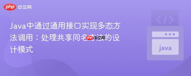 Java中通过通用接口实现多态方法调用:处理共享同名方法的设计模式
