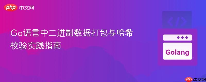 Go语言中二进制数据打包与哈希校验实践指南