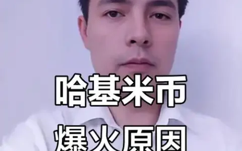 哈吉米是什么币？怎么买？未来价值如何