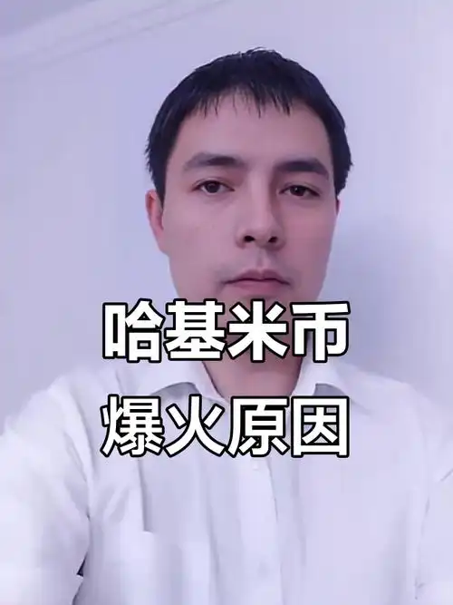 哈吉米是什么币?怎么买?未来价值如何 - 创想鸟