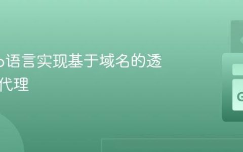 使用Go语言实现基于域名的透明反向代理