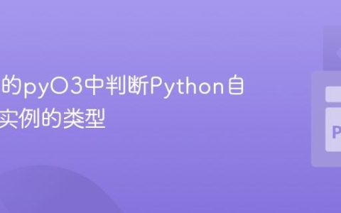 在Rust的pyO3中判断Python自定义类实例的类型