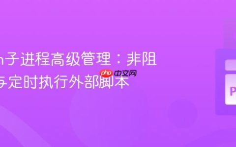 Python子进程高级管理：非阻塞I/O与定时执行外部脚本