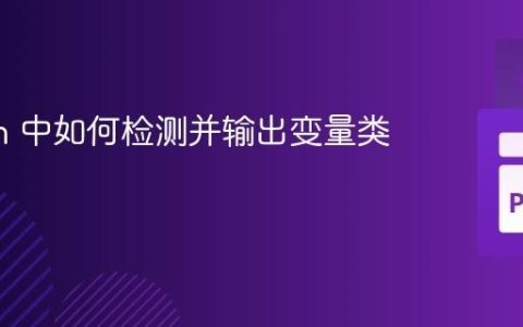 Python 中如何检测并输出变量类型？