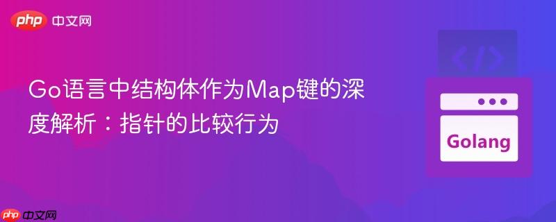 go语言中结构体作为map键的深度解析:指针的比较行为