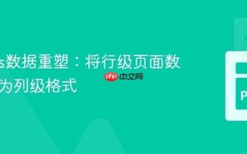 Pandas数据重塑：将行级页面数据转换为列级格式
