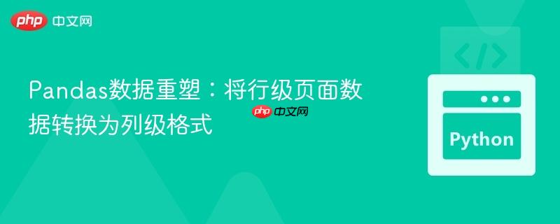 Pandas数据重塑:将行级页面数据转换为列级格式