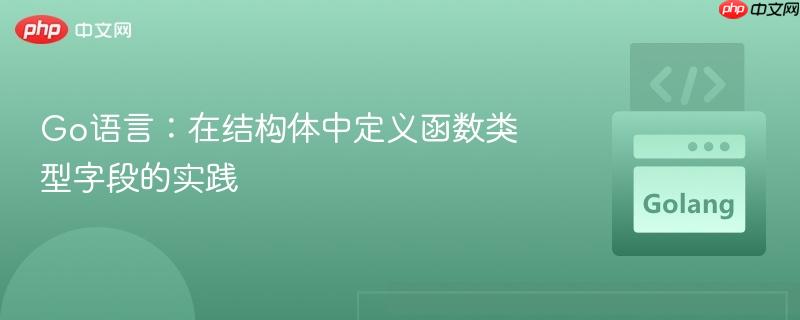 Go语言：在结构体中定义函数类型字段的实践