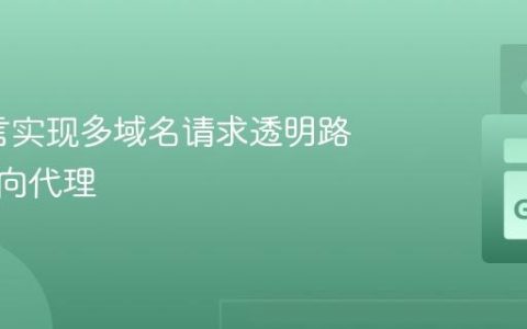 Go语言实现多域名请求透明路由与反向代理