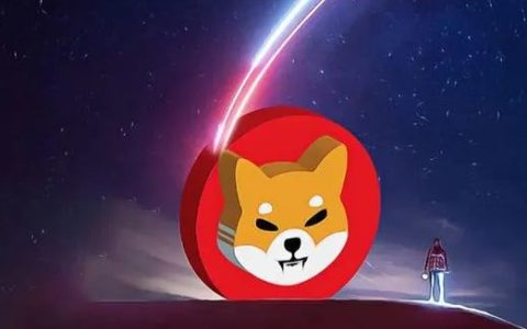 Shib暴涨预言，马斯克喊单值得信任吗？