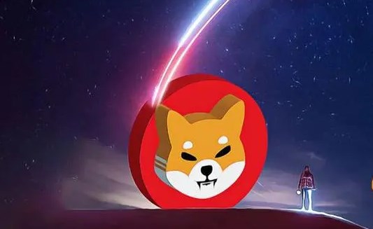 Shib暴涨预言，马斯克喊单值得信任吗？ - 创想鸟