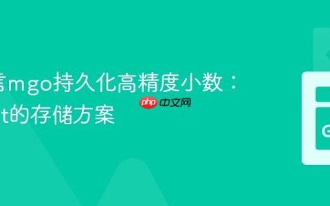 Go语言mgo持久化高精度小数：big.Rat的存储方案