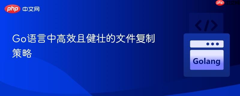 Go语言中高效且健壮的文件复制策略