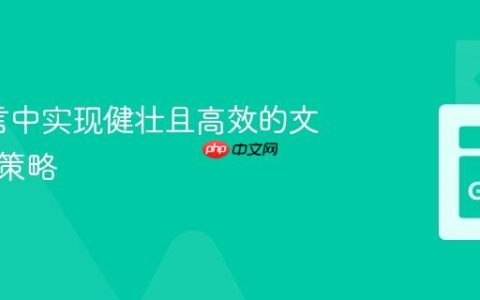 Go语言中实现健壮且高效的文件复制策略