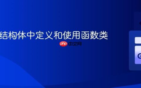 在 Go 结构体中定义和使用函数类型字段
