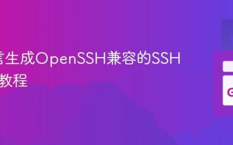 Go语言生成OpenSSH兼容的SSH密钥对教程