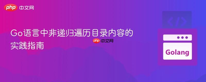 Go语言中非递归遍历目录内容的实践指南