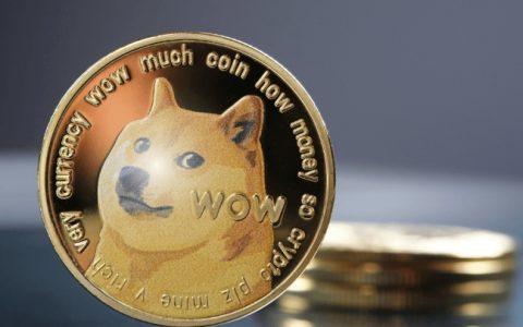 全面剖析：狗狗币的诞生历程、技术演进与市场潜力