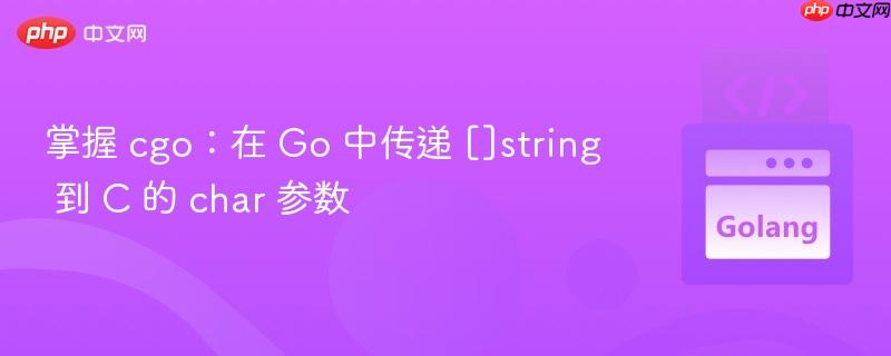 掌握 cgo：在 Go 中传递 []string 到 C 的 char 参数