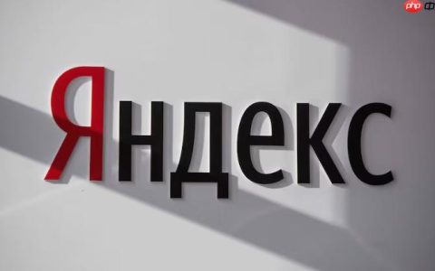 访问Yandex搜索引擎官方入口_yandex.com国际版直达