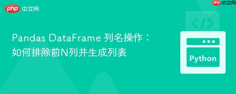 Pandas DataFrame 列名操作:如何排除前N列并生成列表