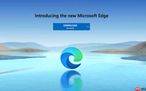 Microsoft Edge启动后页面黑屏怎么办_Microsoft Edge页面渲染修复方法