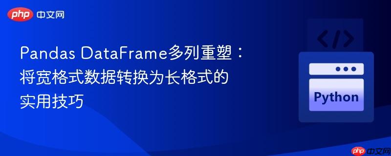 Pandas DataFrame多列重塑:将宽格式数据转换为长格式的实用技巧
