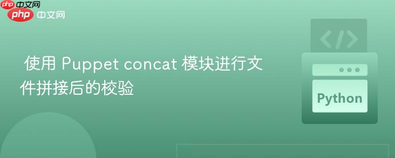 使用 Puppet concat 模块进行文件拼接后的校验