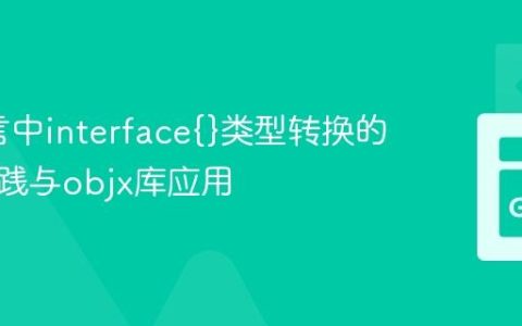 Go语言中interface{}类型转换的进阶实践与objx库应用